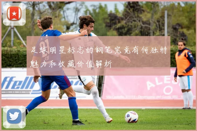 足球明星标志的钢笔究竟有何独特魅力和收藏价值解析