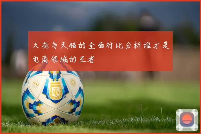火花与天猫的全面对比分析谁才是电商领域的王者