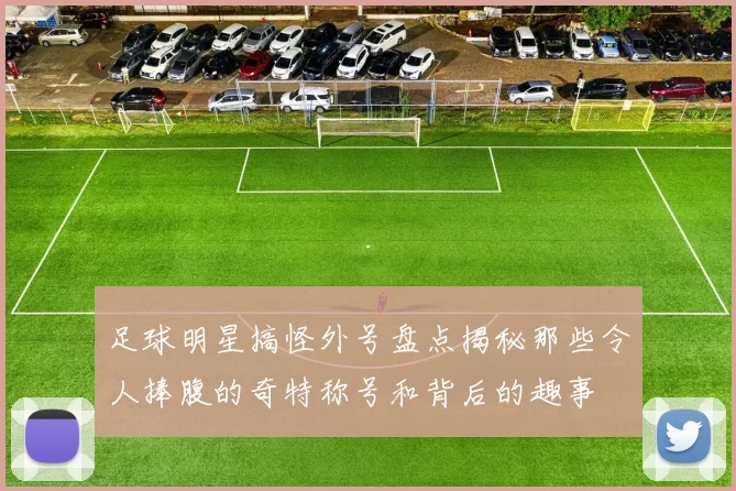 足球明星搞怪外号盘点揭秘那些令人捧腹的奇特称号和背后的趣事