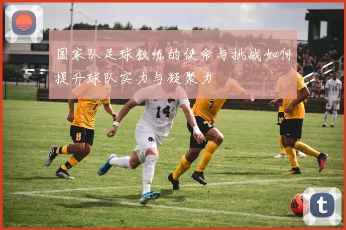 国家队足球教练的使命与挑战如何提升球队实力与凝聚力