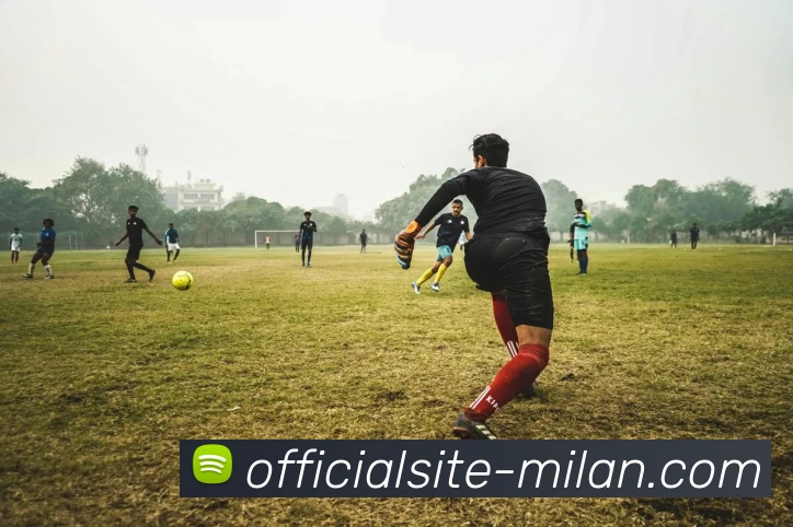 米兰官网平台生态图