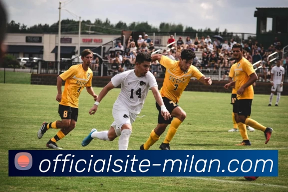 米兰官网APP 封面图